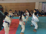 272F5AC5-E2FD-4093-B5E7-39EF273AF6AA.jpg